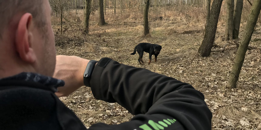 Chytrý náramek Aligator EB03